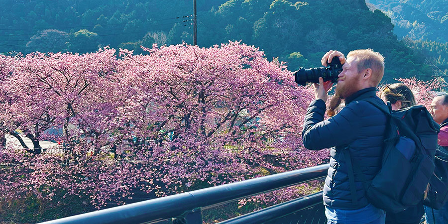 Nagano in Spring