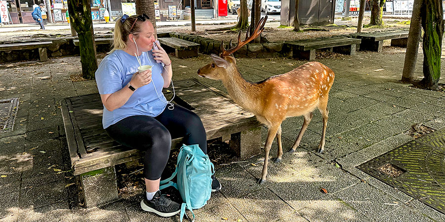 Rest under the Shade of Trees