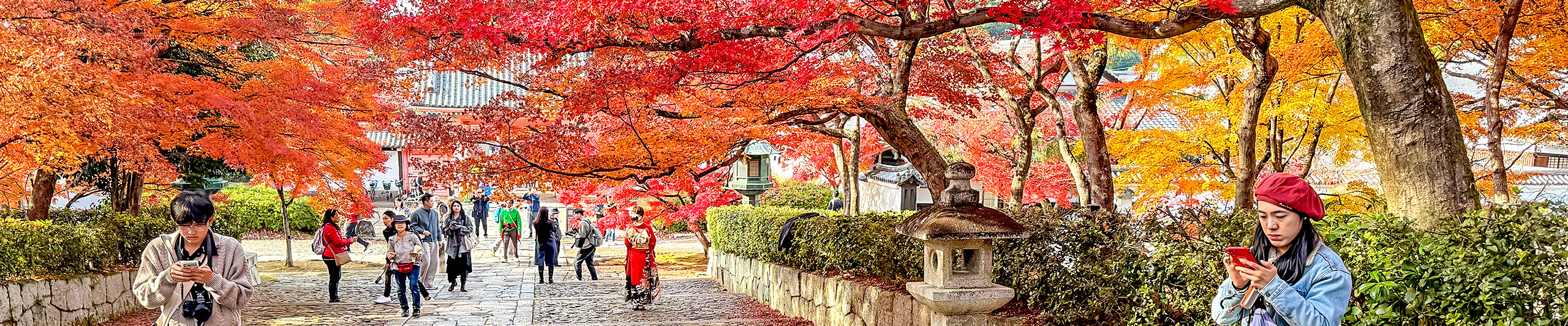 Beautiful Autumn of Nagasaki