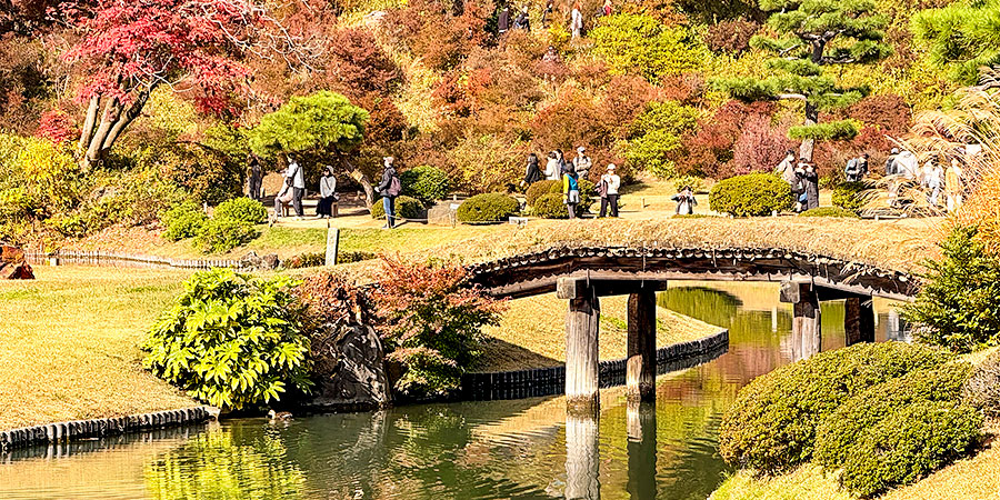 Colorful Autumn Scene