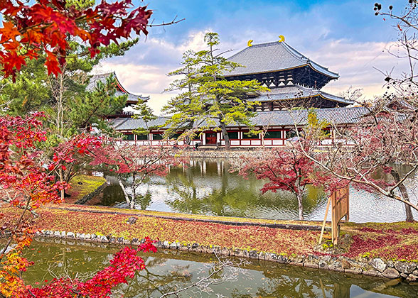 Nara Autumn View