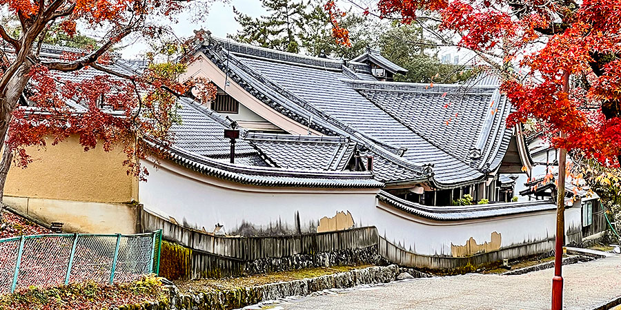 Lovely Fall Foliage View