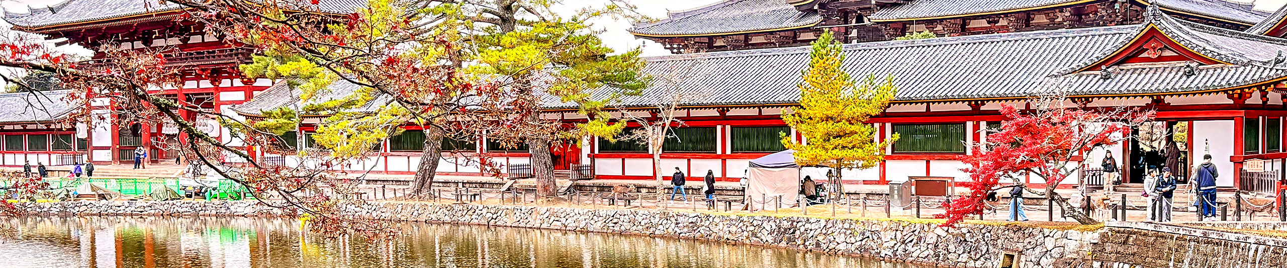 Fall View in October