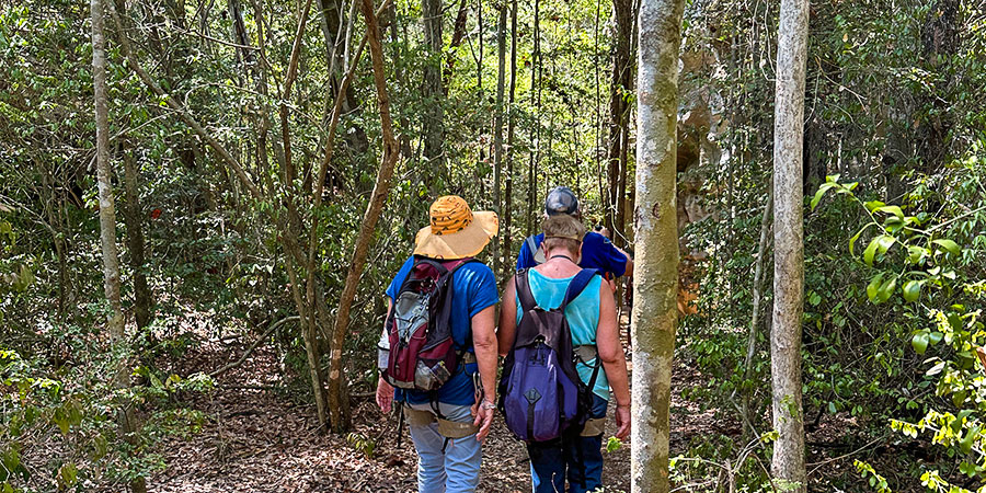 People Hiking in National Parks