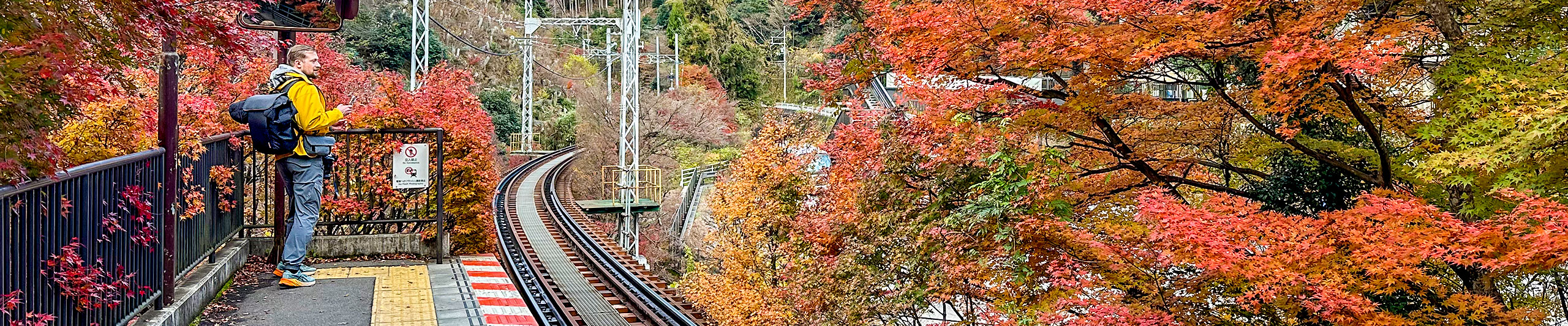 Peak Fall Foliage View in Nikko