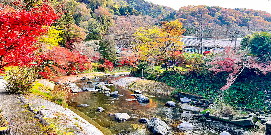 Colorful View in Autumn