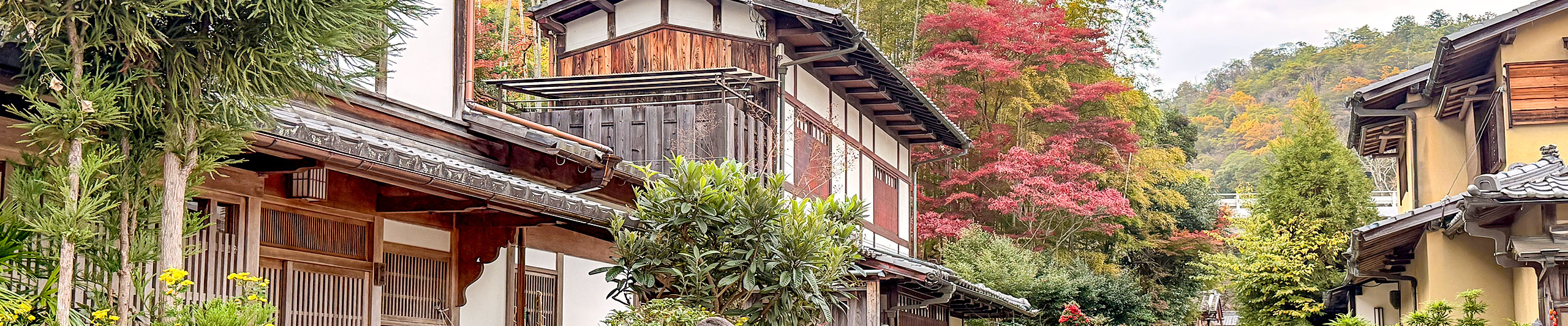 Nikko Fall Foliage View