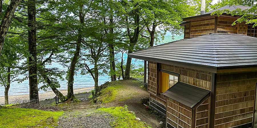 Green and Fresh Scene