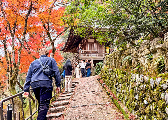 Hiking in the Mountain