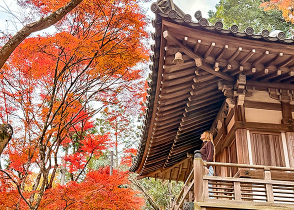 Colorful Fall Leaves