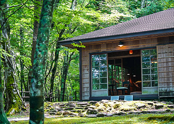 Crisp Air after Rain