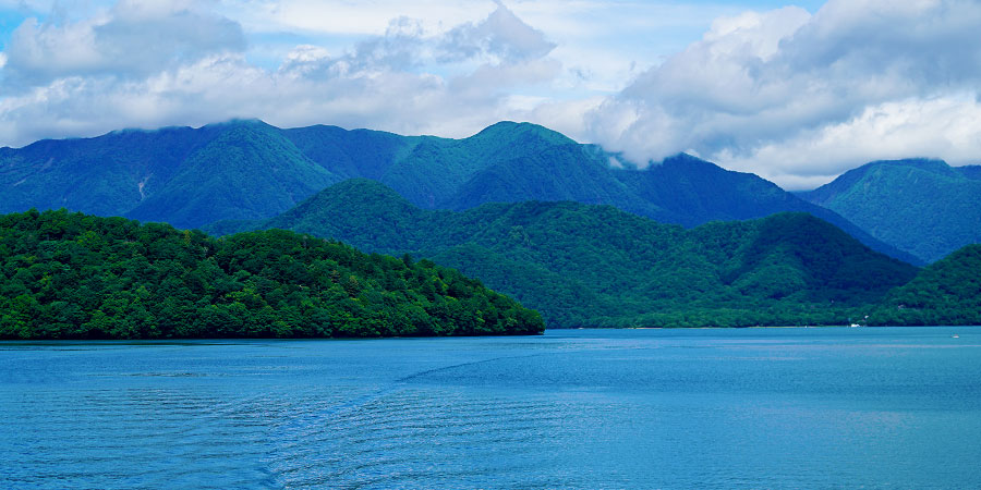 Peaceful Lake View