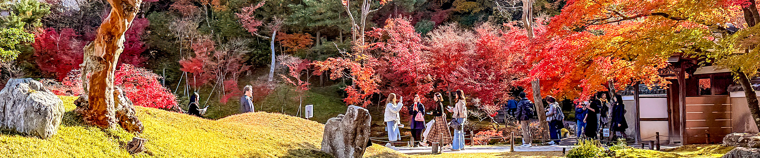 Red Leaves in October