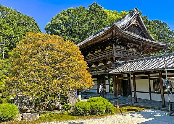 Garden of Wakayama Castle