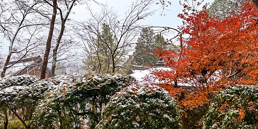 Odori Park in Winter
