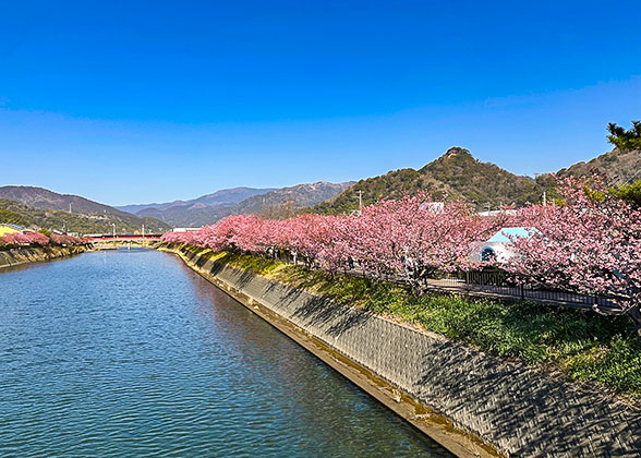 The Okawa River