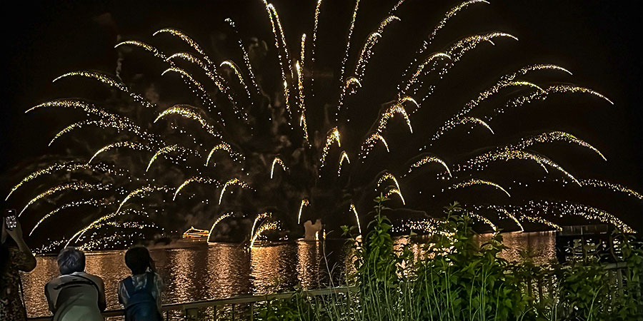 Firework at Night