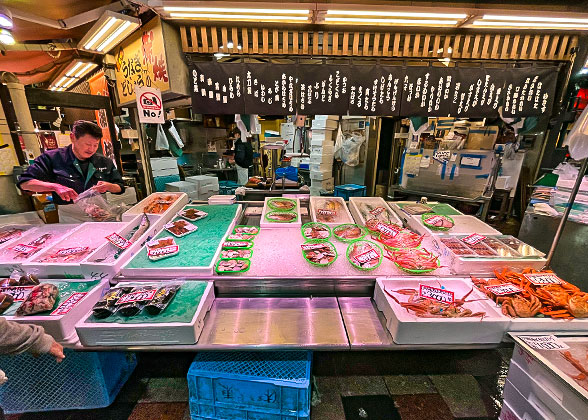 Fresh Seafood in Omicho Market