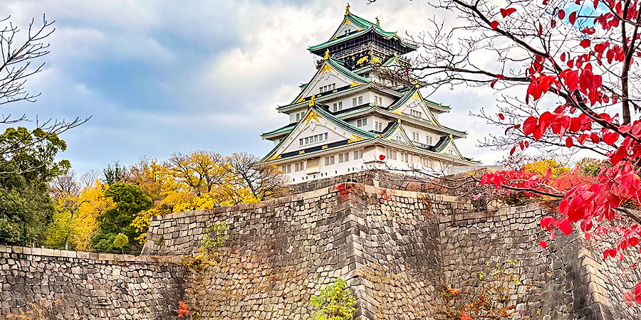 Autumn Foliage View in Osaka Castle Park