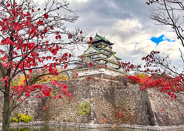 Osaka Castle with Red Leaves