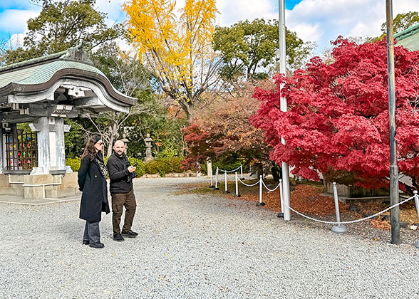 Colorful Foliage View in Osaka