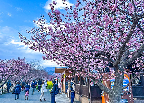 Osaka Weather in March