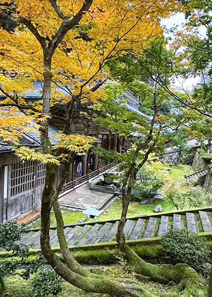 Katsuoji Temple in Autumn