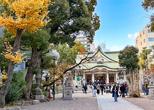 Lovely Autumn in Osaka