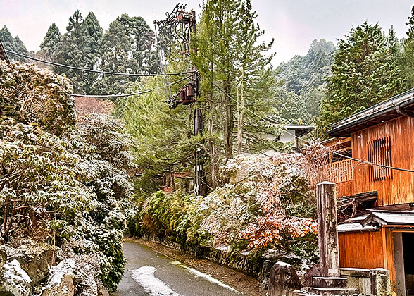 Light Snow in January