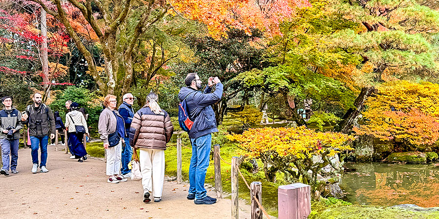 Otaru Autumn Foliage Season