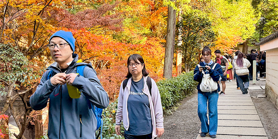 Beautiful Autumn Leaves in Otaru