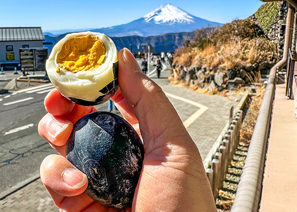 Owakudani Black Egg
