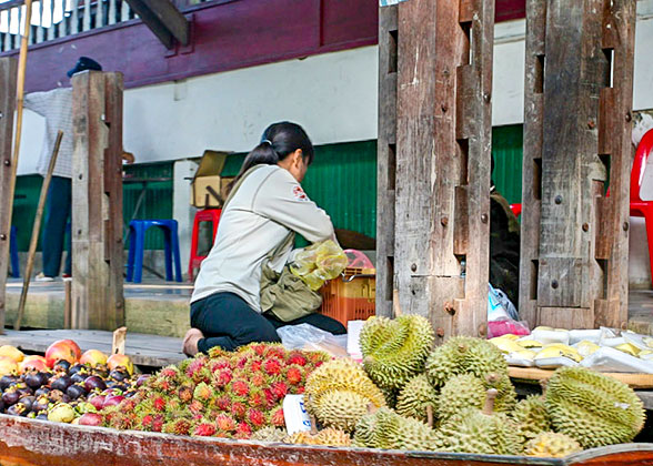 Durian and Other Tropical Fruits