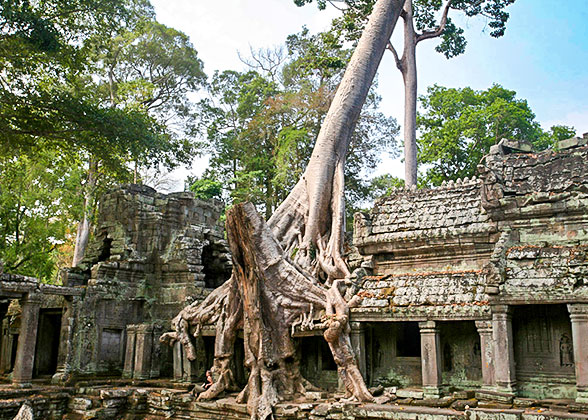 Preah Khan Temple