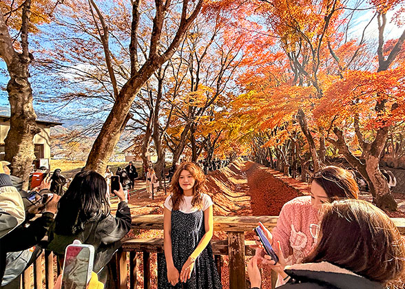 Beautiful Red Leaf Corridor