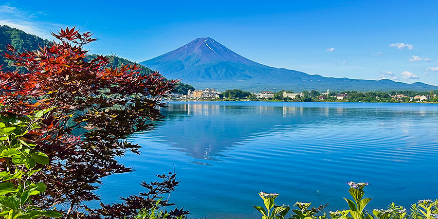 Enjoy Red Leaves around Mt. Fuji