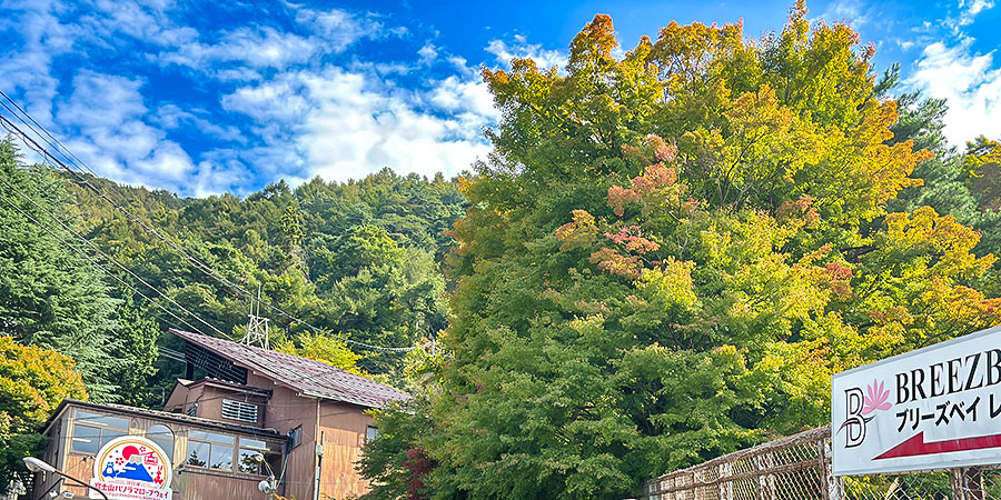 Enjoy Red Leaves in Tokyo