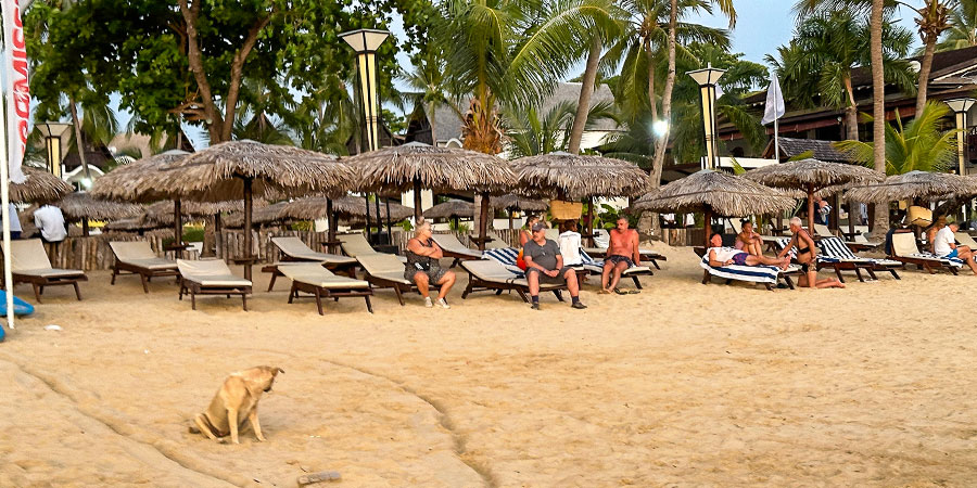 People Relaxing on the Beach