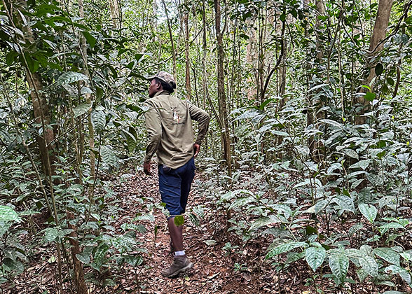 People Hiking in Arboretum d’Antsokay