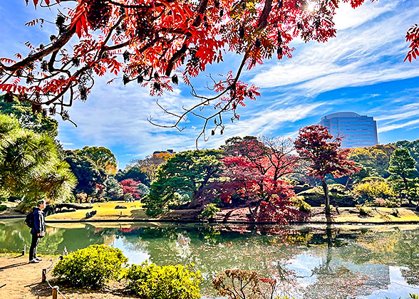 Rikugien Gardens in October/November