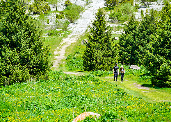 Rodopi Mountains