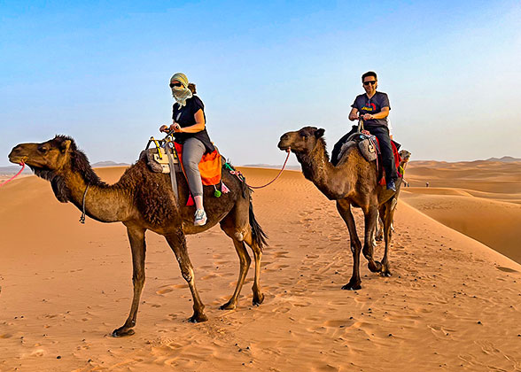 Camel Ride in Riyadh Desert