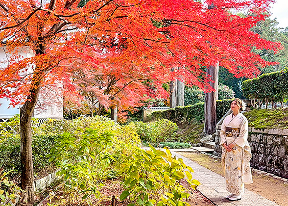 Sanjusangendo Temple in Autumn