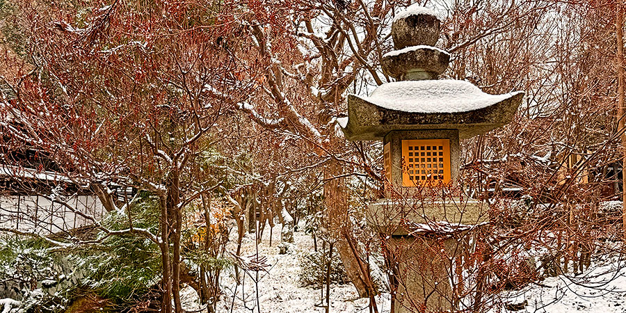 Snowy Garden in Sapporo