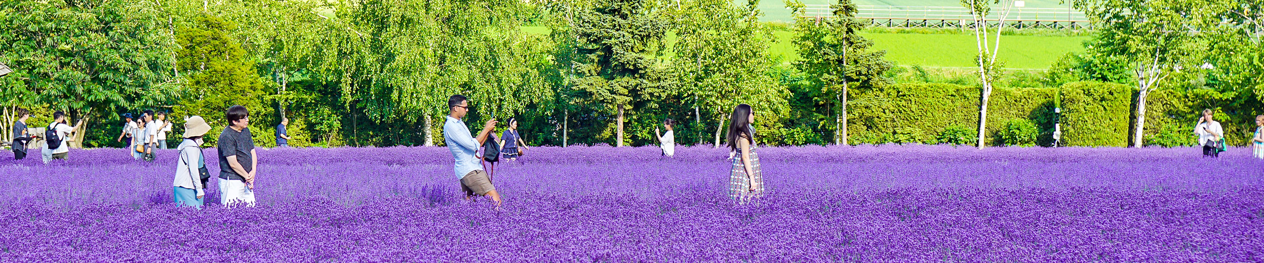 Sapporo July Weather
