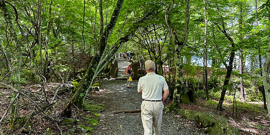 Light Hiking in the Park