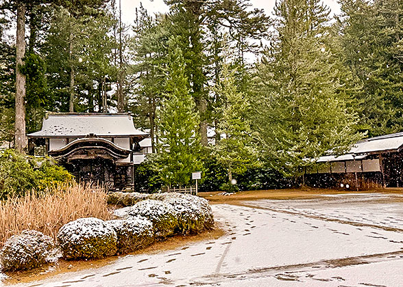 Light Snow in Sapporo