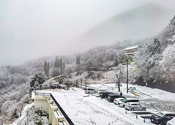 Stunning Snow Scene