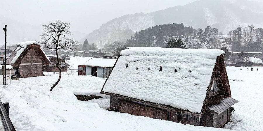 Snow Scene in Sapporo