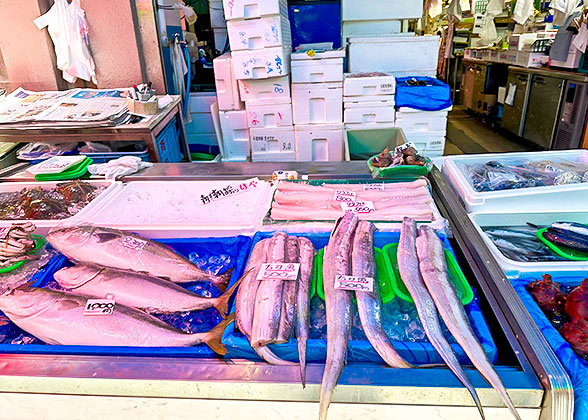 Shizuoka Fresh Seafood